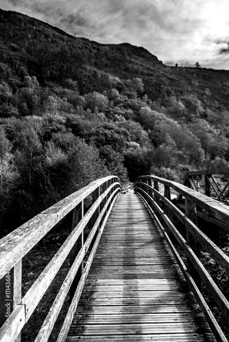 Wooden bridge on a walking trail through the valleys and forests of Eryri National Park in Wales in Black and white.