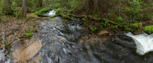 Panoramic view of rocky threshold on the wild, small river Sopot. Nature reserve Czartowe Pole (Devil's Field).  Landscape park Solska forest at Roztocze, Poland, Europe. photo