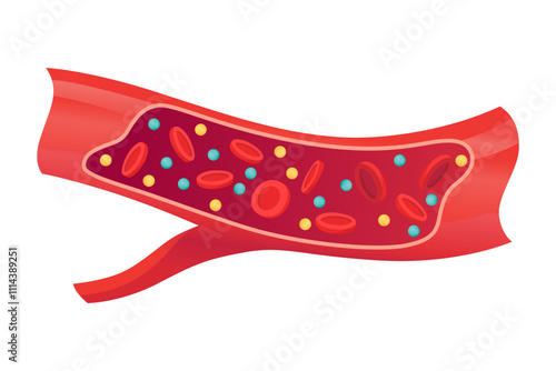 Type of cholesterol in human blood vessels. Normal artery for explanation disease. High-Density Lipoprotein HDL . Vector illustration