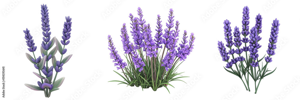 3d render lavender isolated on transparent background Cartoon Illustration in plastic style 3d render lavender isolated on transparent background Cartoon Illustration in plastic style