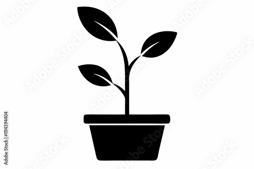 Organic plant icon. Flat design illustration ,Planting seed sprout in ground. Infographic silhouette sequence grow sapling. Flat icon seedling gardening tree. Vector illustration.