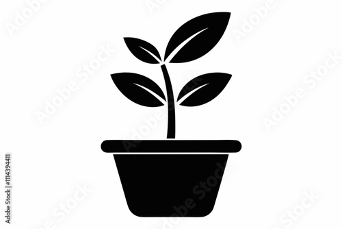 Organic plant icon. Flat design illustration ,Planting seed sprout in ground. Infographic silhouette sequence grow sapling. Flat icon seedling gardening tree. Vector illustration.