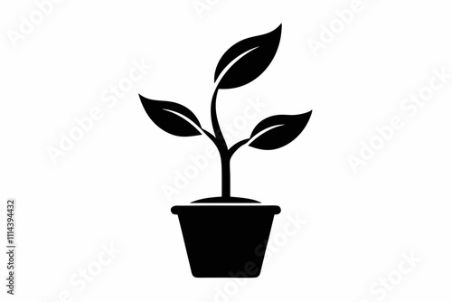 Organic plant icon. Flat design illustration ,Planting seed sprout in ground. Infographic silhouette sequence grow sapling. Flat icon seedling gardening tree. Vector illustration.