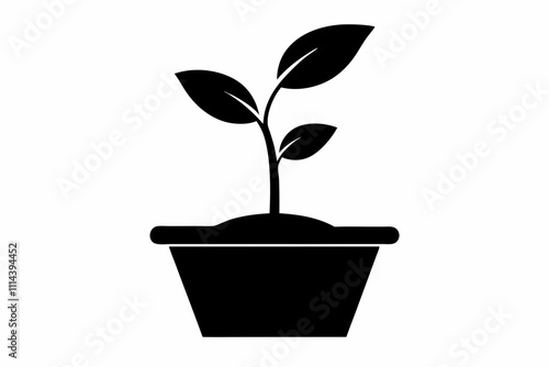 Organic plant icon. Flat design illustration ,Planting seed sprout in ground. Infographic silhouette sequence grow sapling. Flat icon seedling gardening tree. Vector illustration.