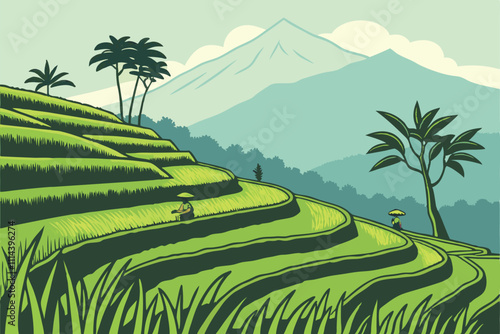 rice field in thailand