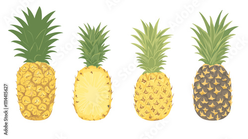 Set of pineapple ananas clipart isolated on white background. Fruit watercolor vector illustration of pineapples