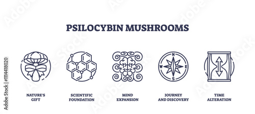 Psilocybin mushrooms icons symbolize natures gift, scientific foundation, and mind expansion. Outline icons set.