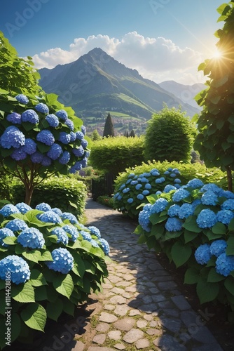 garden in the garden