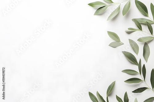  A frame design of gentle flowers and plants with a blank background