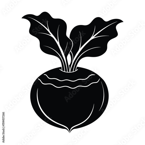 kohlrabi silhouette vector white background.