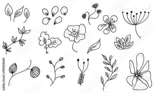 Fleurs sauvages illustration - Fleur vectorielle - Feuilles  - Collection - Nature - Transparent - lineart