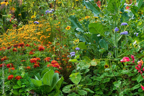 Fotografie permaculture garden with different flowers and vegetables