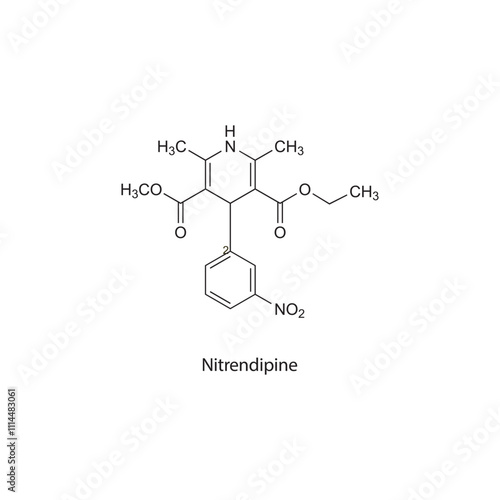 Nitrendipine flat skeletal molecular structure Calcium chanel blocker CCB drug used in hypertension treatment. Vector illustration scientific diagram.