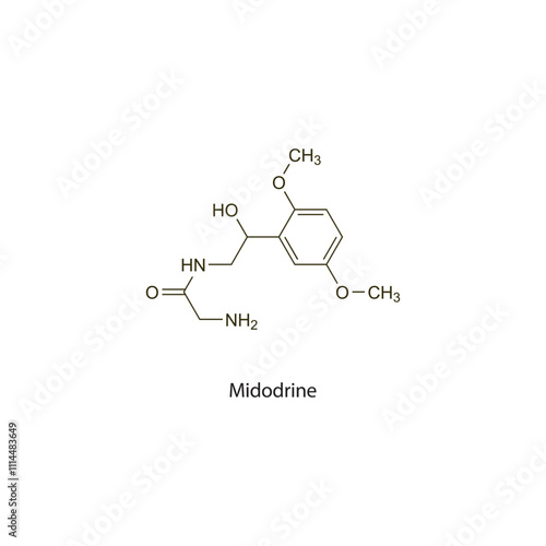 Midodrine flat skeletal molecular structure sympathomimetic drug used in hypotension treatment. Vector illustration scientific diagram.