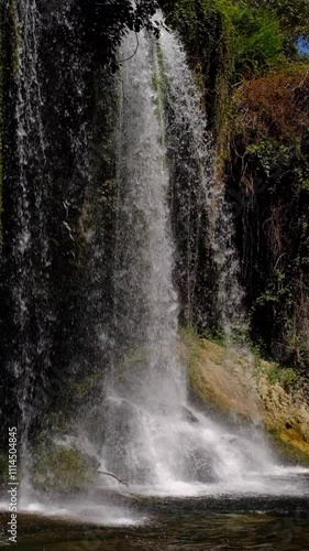Wallpaper Mural Waterfall and river flowing in the forest Torontodigital.ca