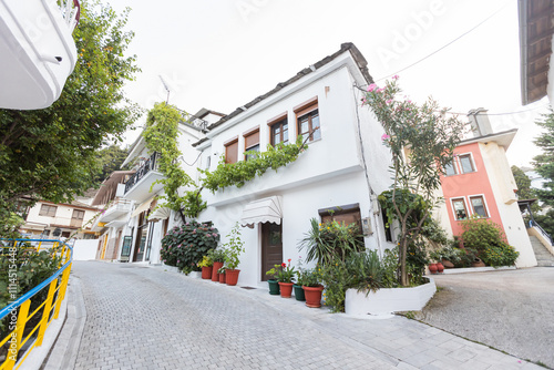 Fototapeta Naklejka Na Ścianę i Meble -  Picturesque Greek village street featuring whitewashed houses, vibrant plants, and a serene atmosphere.