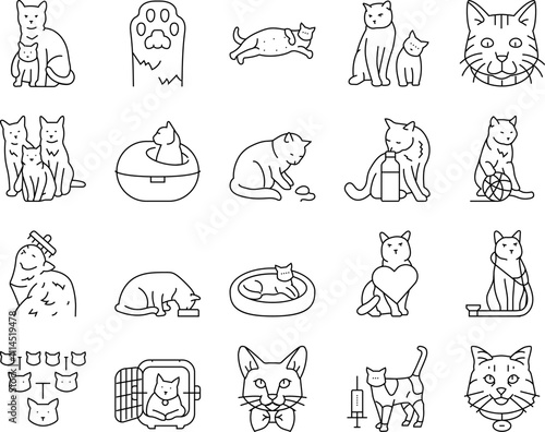cat breeding genetics cattery icons set vector. pedigree lineage, purebred hybrid, mating selection, traits coat, temperament health cat breeding genetics cattery black contour illustrations