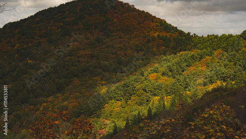 Hakoda mountain and Jogakura bridge view in Japan, famous travel destinations in autumn and fall season. Color of nature, season and leaf. An aerial view of maple tree, fantasy landscaped discovery. photo