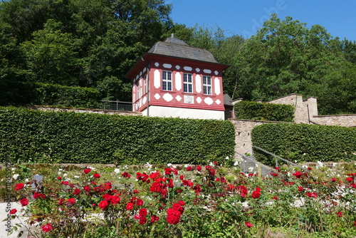 Kloster Eberbach Abtshaus und Garten photo