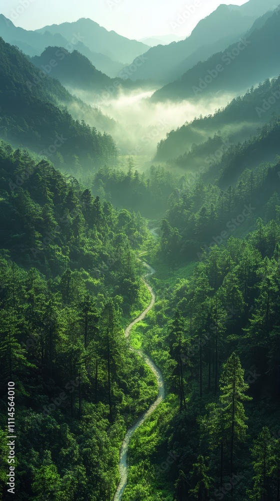 Fototapeta premium Scenic foggy mountain valley.