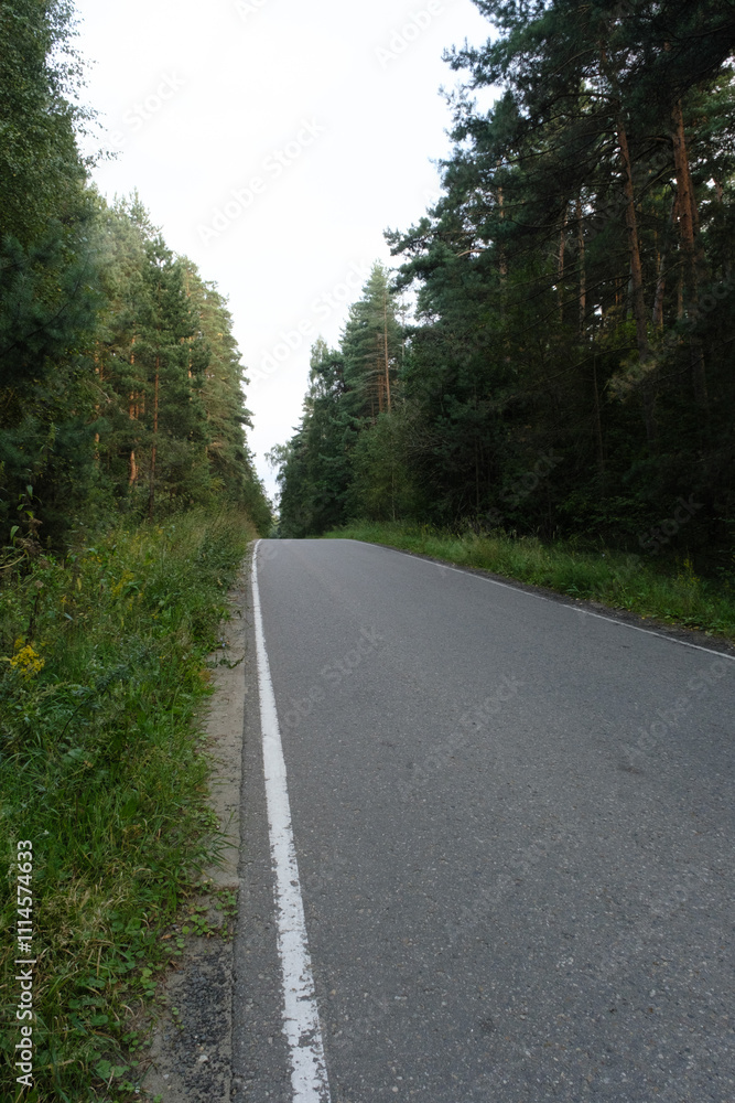 Obraz premium A tranquil empty road winding through dense greenery, flanked by tall trees on both sides, creating a serene natural atmosphere in the forest