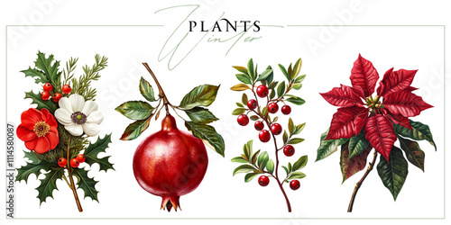Winter flowers and plants isolated on a white background. Vintage painting style illustration.