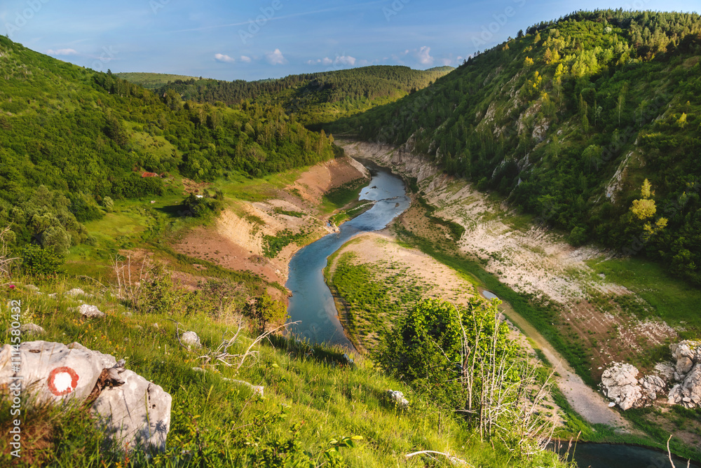 Summer Mountain Landscape with Uvac River