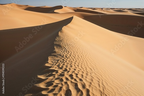Dune Sand Collection Fine Yellow Desert Sand from Plateau Landscapes