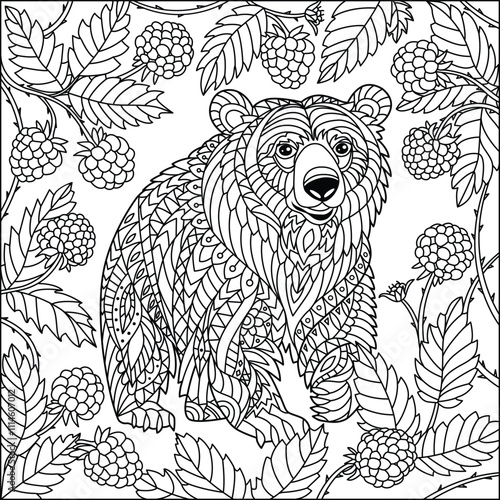 Bear among raspberries branches coloring page or book. Black and white lines, vector illustration.