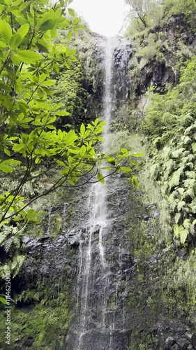 waterfall in the forest