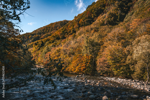 River in Hakoda mountain and Jogakura bridge view in Japan, famous travel destinations in autumn and fall season. Color of nature, season and leaf. Aerial view of maple tree, fantasy landscaped. photo