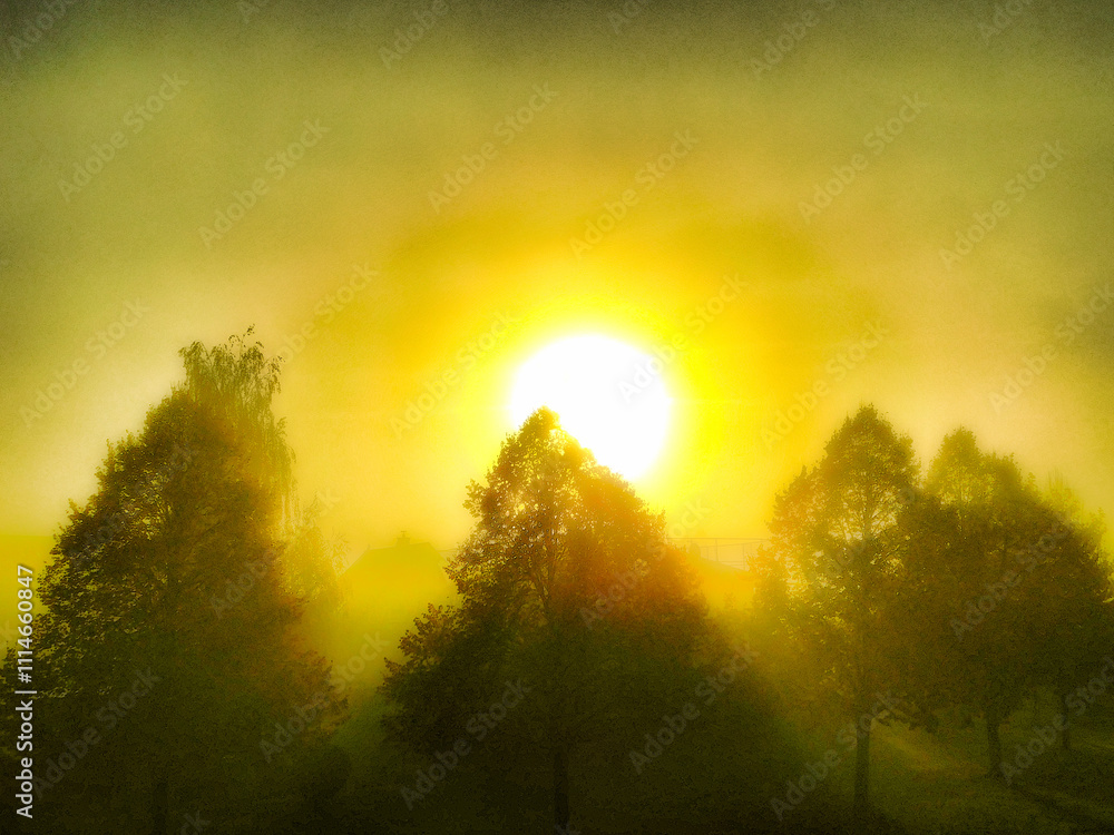 Die Morgensonne durchbricht den Nebel