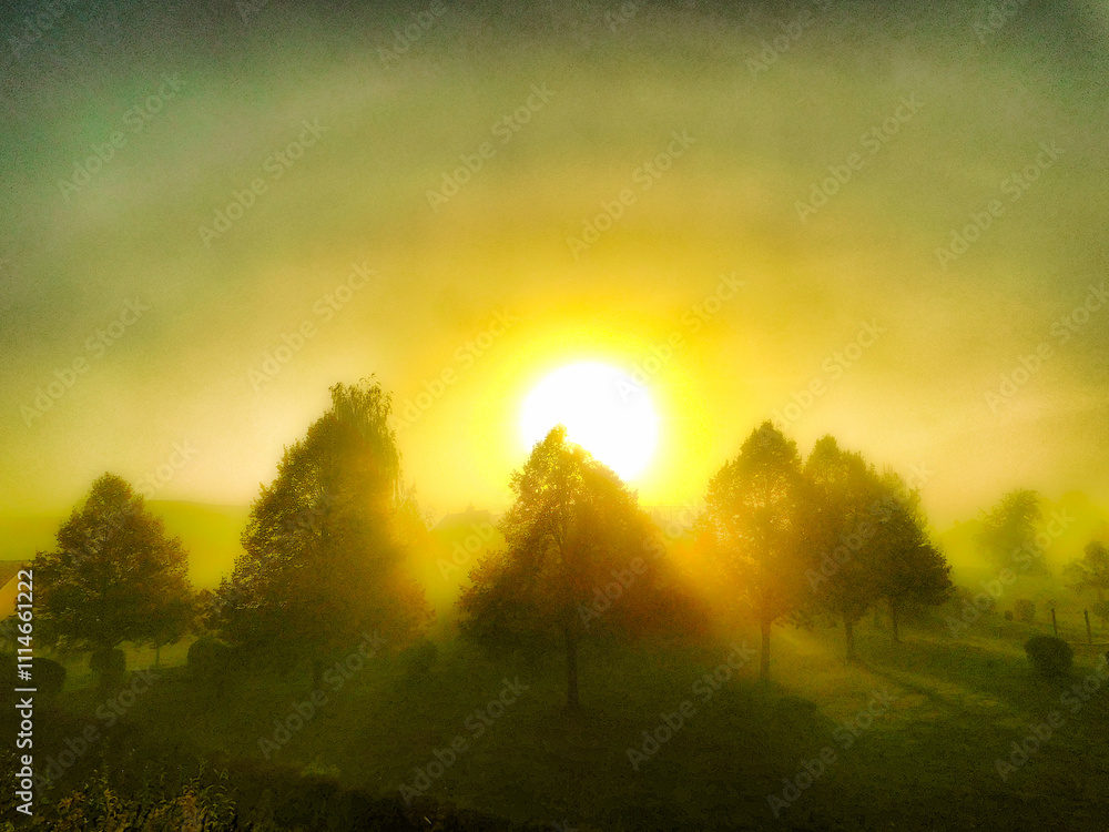 Die Morgensonne durchbricht den Nebel