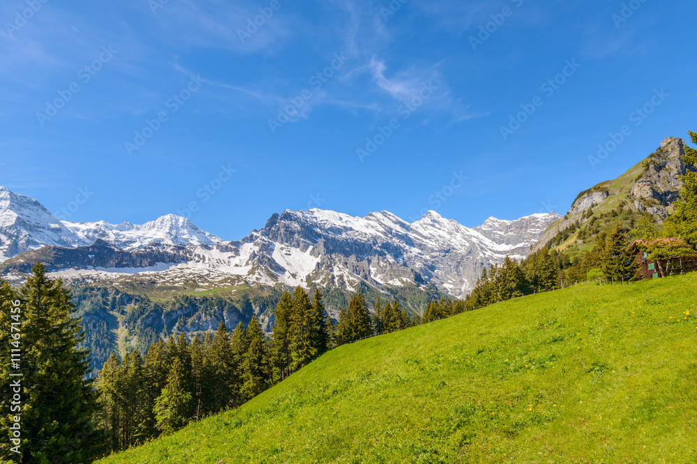 Fototapeta premium The Swiss Alps at Murren, Switzerland. Jungfrau Region. The valley of Lauterbrunnen from Interlaken.