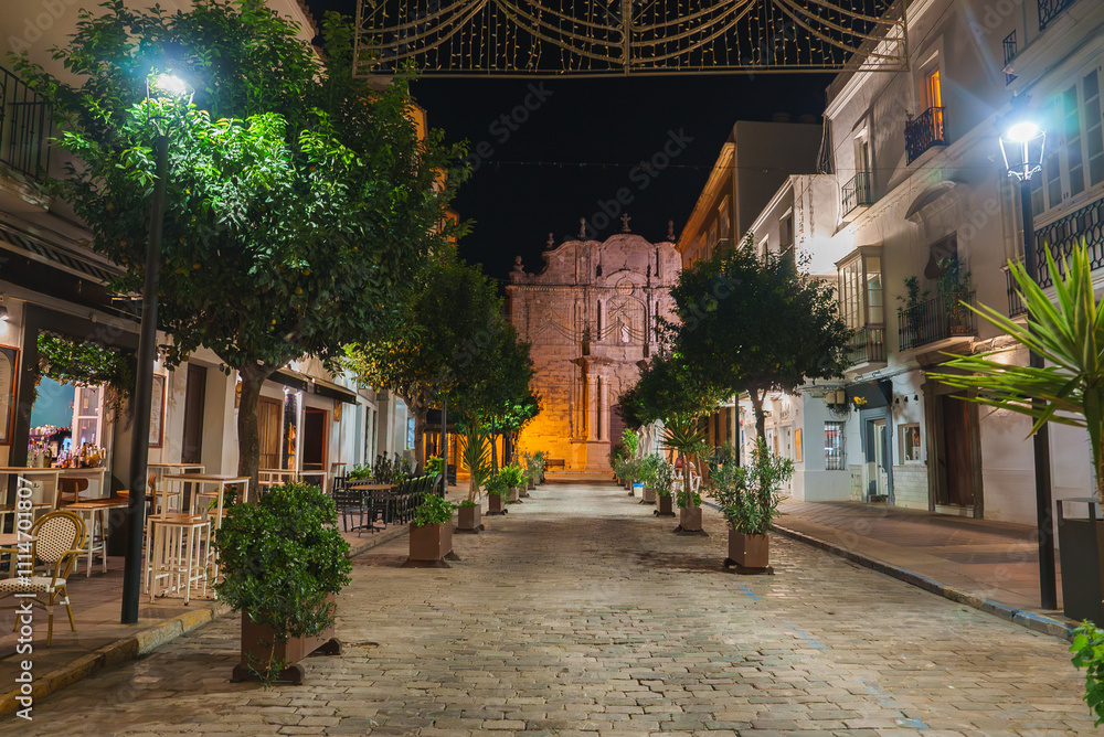 Fototapeta premium A cobblestone street in Tarifa, Spain, is illuminated at night with decorative lights. Lush greenery lines the street, leading to a lit historic building.