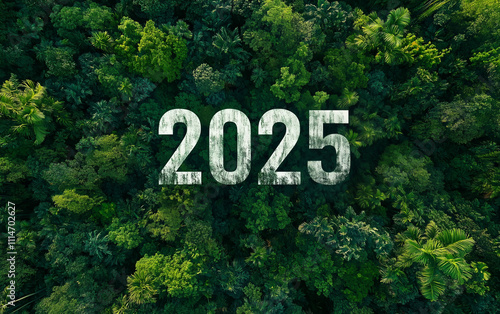 2025 New Year Green business planning and development for sustainable environmental development goals. Saving the environment, environmental sustainability concept. Drone top view. Generative AI