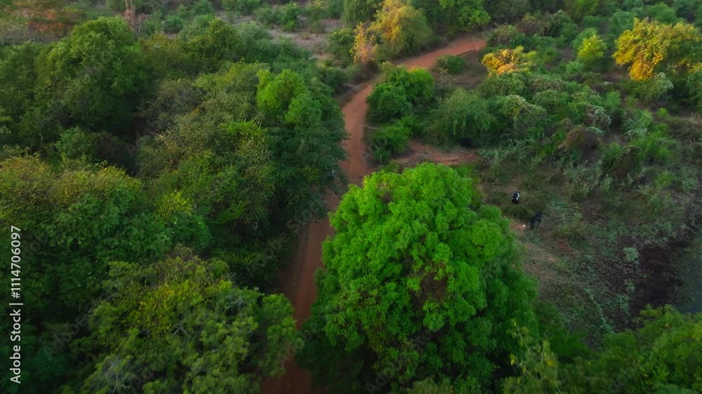 Aerial view of a white car driving on a winding dirt road through a lush green forest in Madagascar. The sun is shining and the sky is clear Aerial view of a white car driving on a winding dirt road through a lush green forest in Madagascar. The sun is shining and the sky is clear