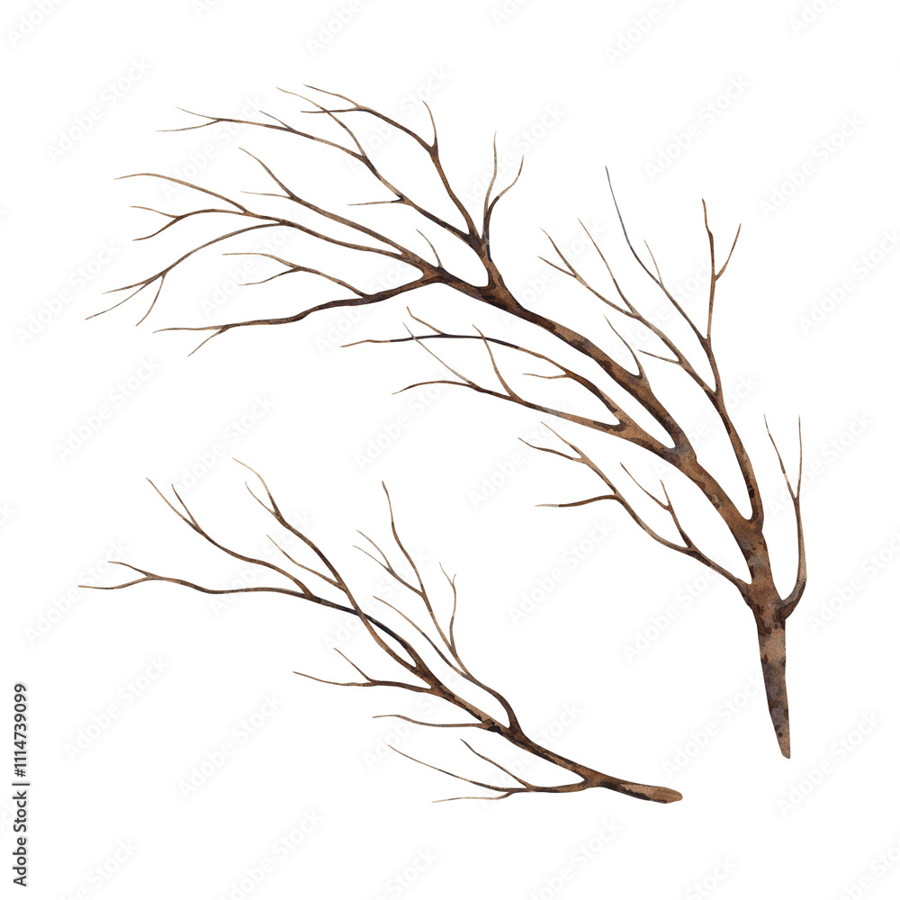 Obraz premium Brown dry branch of brown color. Hand drawn watercolor botanical illustration of tree. Suitable for design, cards or posters of autumn holidays, Thanksgiving, Halloween, for alchemy, witchcraft