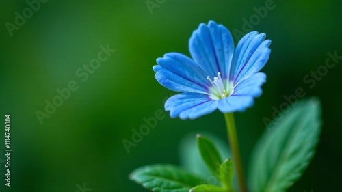 a blue flower with green leaves in the foreground, set against a blurred background The flower is vibrant and stands out against the green backdrop