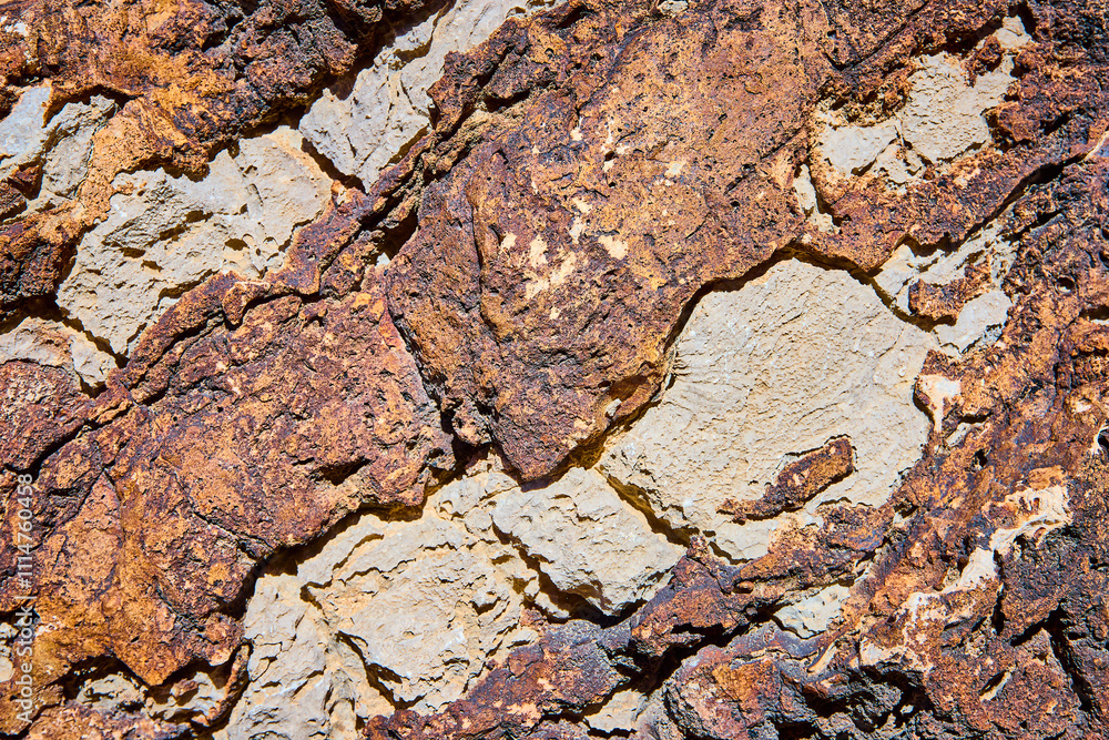 Rugged Earthy Rock Textures Close Up in Natural Daylight Rugged Earthy Rock Textures Close Up in Natural Daylight