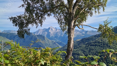 Le pic de Ger et la vallée d'Ossau vus depuis les cromlechs de Lous Couraus photo