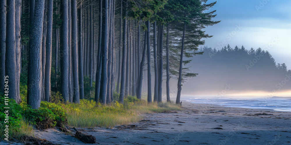 Fototapeta premium A serene coastal forest at sunrise, with tall pine trees lining a sandy shore, soft morning light streaming through the branches, and the gentle sound of waves. The tranquil and natural scene feels