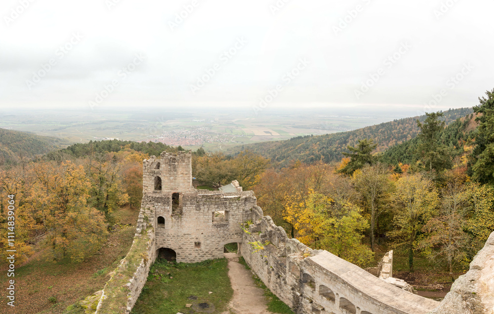 Obraz premium château de Bernstein 
