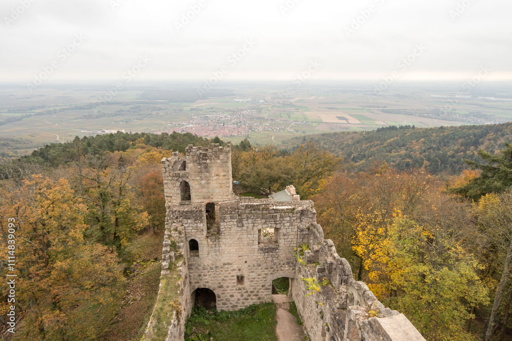 Naklejka premium château de Bernstein 