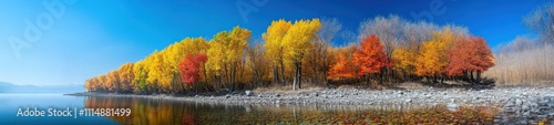 Autumn Serenity  Vibrant Tree Reflections on a Peaceful Lake