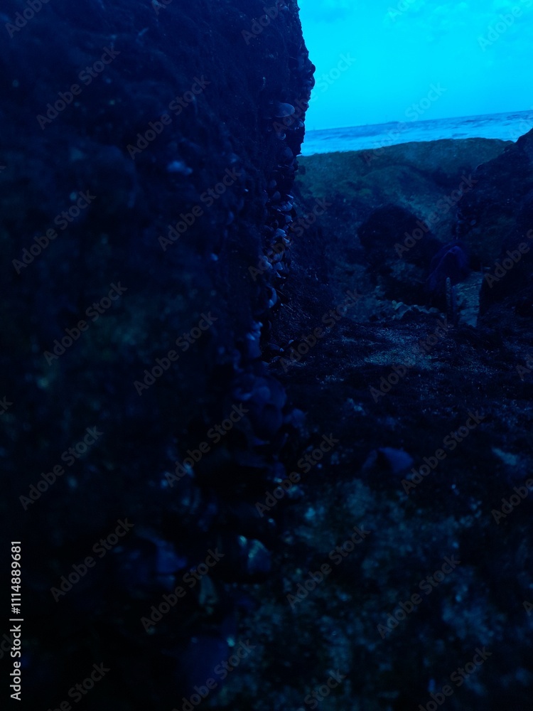 Fototapeta premium cave in the sea