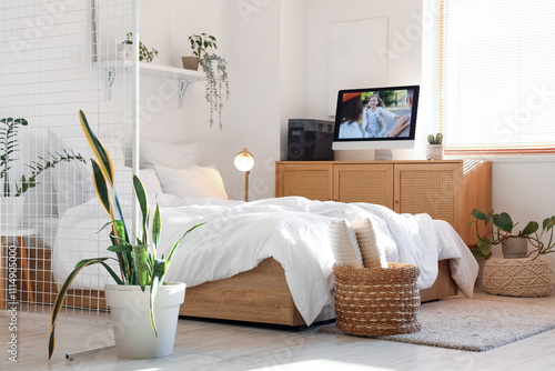 TV monitor with portable po...