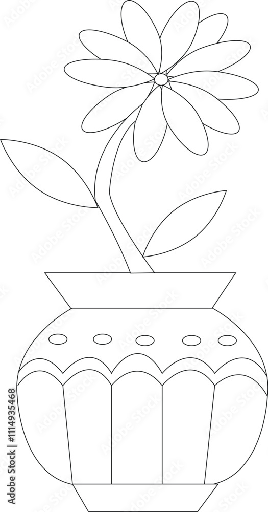plants plants