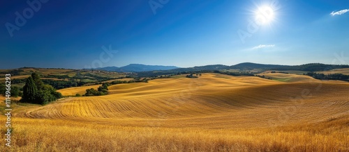 Harvest of Labor. The golden wheat fields, bathed in sunlight, represent the fruition of hard work and the abundant blessings of a bountiful harvest.

