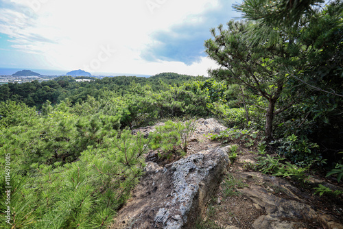 산 정상에서 바라보는 풍경 제주 서귀포시 신효동 월라봉 photo